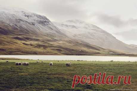 Iceland