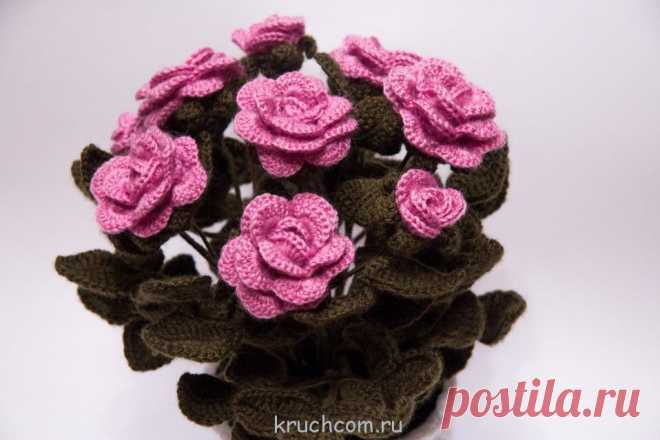 Вязаные цветы крючком 23 – Вязание крючком, схемы вязания, бесплатное вязание крючком