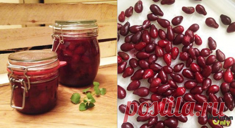 Варенье из кизила: фото рецепт от WomanOnly (без косточек, без варки, с косточками)
