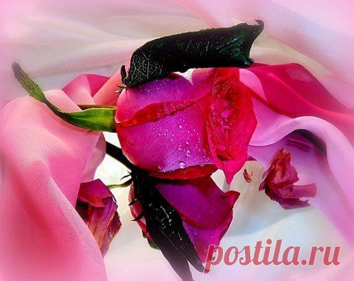 ВСЕХ  С  ПРАЗДНИКОМ  ВЕСНЫ, МИРА И ТРУДА!!
СОХРАНИТЬУстановить себе