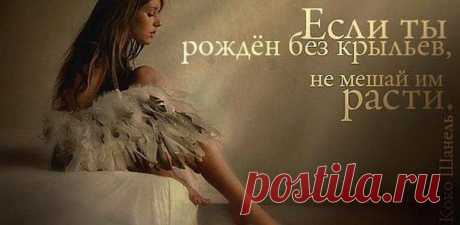 Статусы . Всё Лучшее в Контакте .