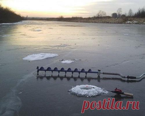 Как задержать стаю рыб возле лунки