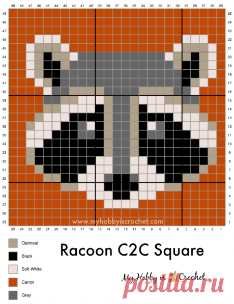 Racoon+-+C2C+Graph.png (730×947)