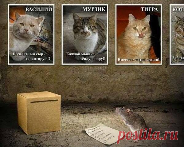 (51) Facebook