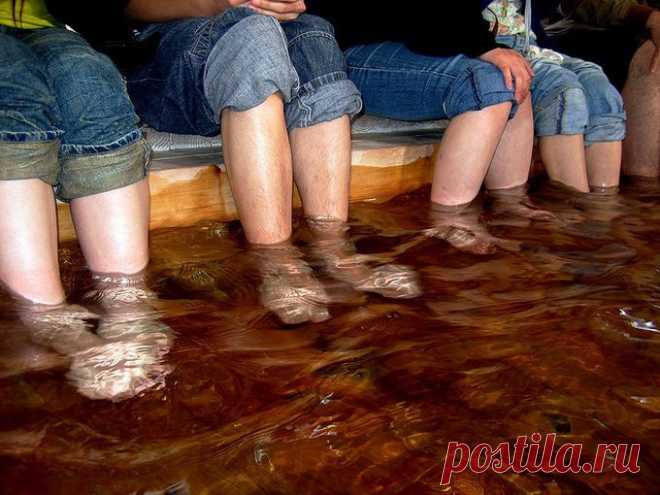 Сливаешь воду после макарон – твои проблемы. Вот что можно с ней сделать!