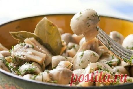 Замечательные грибочки в легком маринаде. Обязательно попробуйте! Вам потребуется: 500 гр ... Рецепты: Замечательные грибочки в легком маринаде. Обязательно попробуйте! Вам потребуется: 500 гр ...