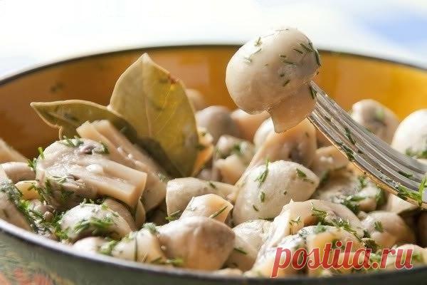 Замечательные грибочки в легком маринаде. Обязательно попробуйте! Вам потребуется: 500 гр ... Рецепты: Замечательные грибочки в легком маринаде. Обязательно попробуйте! Вам потребуется: 500 гр ...