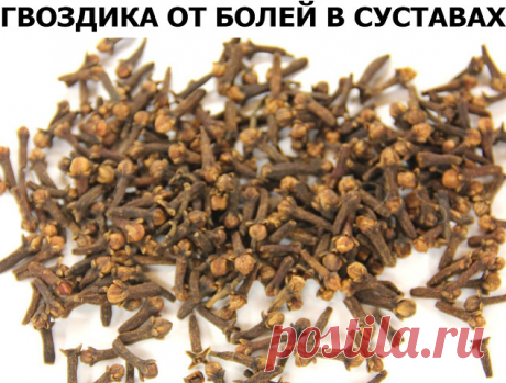 Боль в суставах прогонит гвоздика! Боль в спине, в локтях и коленках, при артрозах, ревматизме, радикулите, миазите, невралгии прекрасно снимает настоянная на одеколоне пряность гвоздика.
Возьмите пять пакетиков (по 20г) ароматных бутончиков и залейте двумя флаконами тройного одеколона. Закрытую стеклянную банку держите в темном месте ( не в холодильнике) неделю, постоянно встряхивая.
Готовая целебная растирка должна иметь насыщенный коричневый цвет. Натерев ею больные мес...