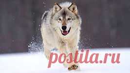 мозаика обои: 7 тыс изображений найдено в Яндекс.Картинках