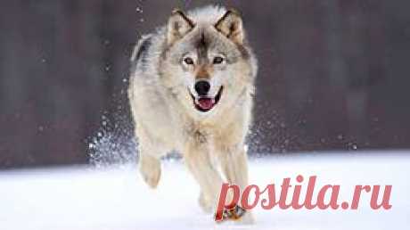 мозаика обои: 7 тыс изображений найдено в Яндекс.Картинках