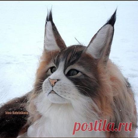 Магазин мастера Ирина Котельникова (tvoreniemoe) на Ярмарке Мастеров | Глазов