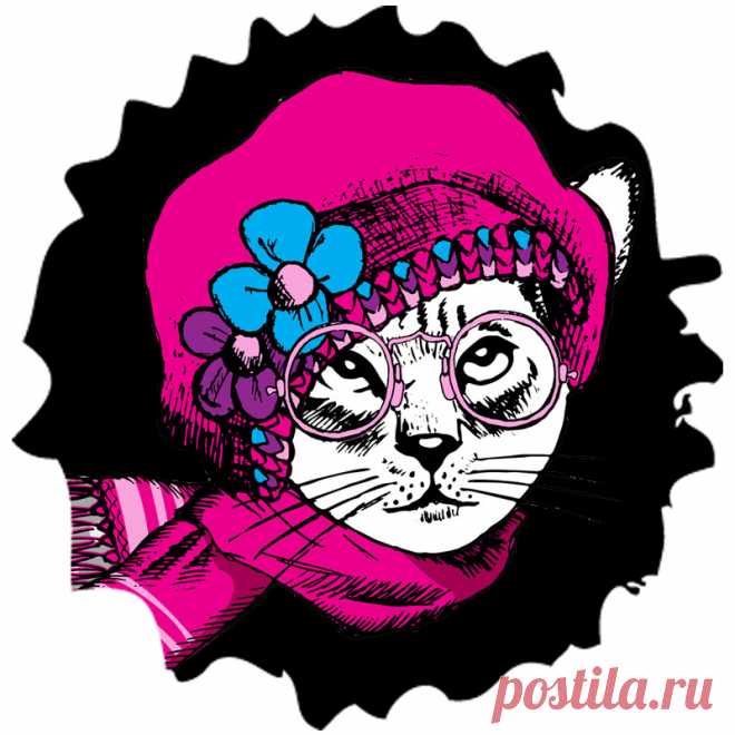 Аватарка кошка в очках и шапке. Эту и другие картинки и фото на аву высокого качества вы можете скачать на нашем сайте.