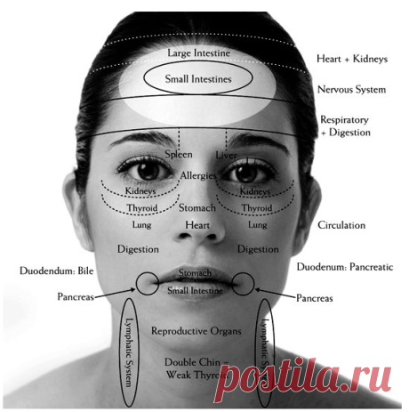 Face Mapping For Acne - The Ultimate Guide