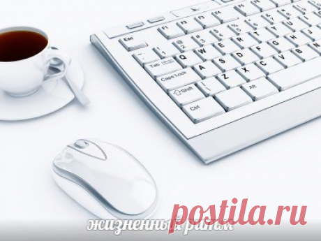 - С добрым утром Вас друзья! Вы проснулись?!
- Да, да, да!
- Есть хотите?
- Нет, нет, нет!
- Что ж Вам надо?
- Интернет!!! И теперь, вот, так и живем мы все,
В интернете, сидя, как в неглиже.
Интернет, он нам как воздух нужен,
Без него, мы просто жить не можем.
Он наш друг, и он наш брат,
С ним всегда приятно поболтать.
А без него, ну просто как без рук,
И без ног, и без глаз, и даже без ушей.
Но, а если вдруг, что ни будь случится,
Нам поможет в этом, наш любимый интернет.
Ведь на свете, нико…