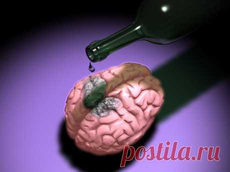 Как происходит изменение головного мозга под действием алкоголя… | LivePosts — последние новости, полезные статьи, обзоры