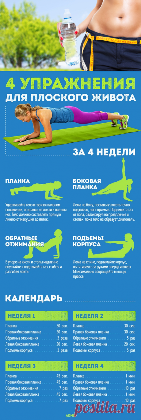 (+5) 4 упражнения для плоского живота за 4 недели : Образ жизни : Здоровье : Subscribe.Ru
