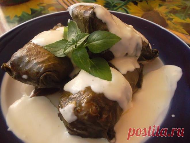 Долма | Foodbook.su Вот случайно попался на глаза рецептик завалявшийся с лета. Одно из любимых блюд моего мужа (до начала нашей семейной жизни он никогда не пробовал голубцы с капустой, только этот вариант). Может кому