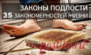 Законы подлости - закономерности жизни!