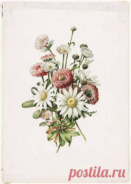 Найдено на сайте flickr.com.