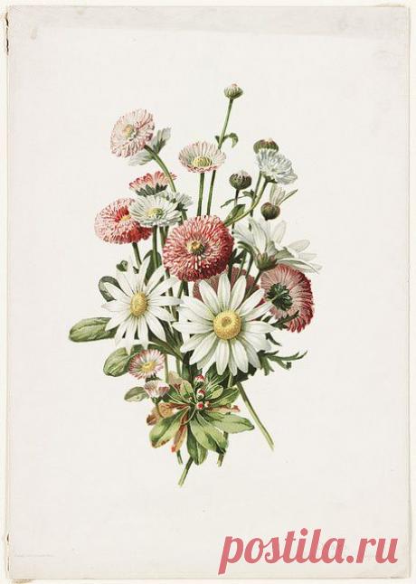 Найдено на сайте flickr.com.