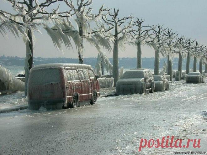 Самые красивые фотографии морозной зимы • НОВОСТИ В ФОТОГРАФИЯХ
