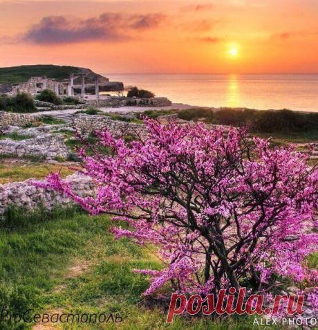 Крым.Херсонес