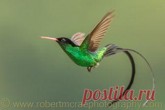 Jamaica - robertmcraephotography