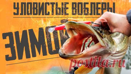 🔴 Эти ВОБЛЕРЫ ЛОВЯТ даже ЗИМОЙ!!! УЛОВИСТЫЕ ВОБЛЕРЫ с Алиэкспресс!!! 🔥🔥🔥 Ловля щуки зимой на спиннинг, накладывает на сам процесс и на воблеры в том числе определенные требования. Не все приманки, которые отлично работали летом, м...