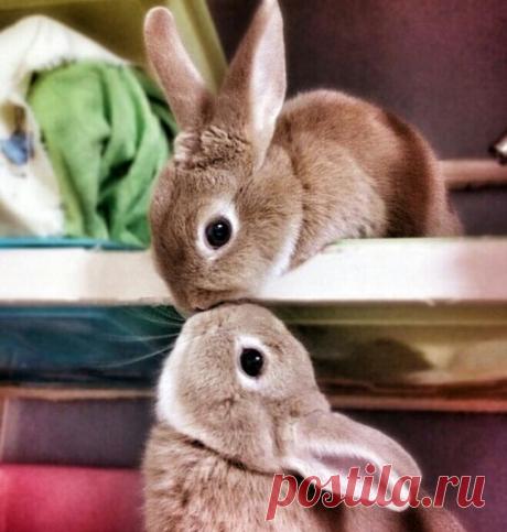 в пинтерест