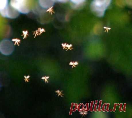 Таинственный Союз Девяти управляет миром - Тайные знания - Интересное и необычное рядом