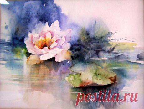 (1) Сказки Странствий