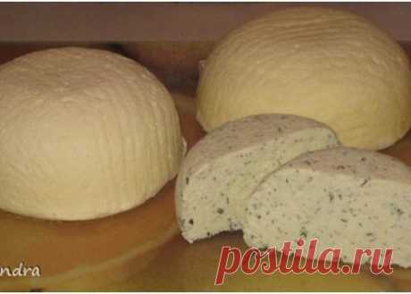 Очень вкусный сыр - сулугуни, приготовить самим совсем не сложно