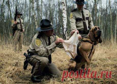 Нее это я нюхать не буду, и не уговаривай даже