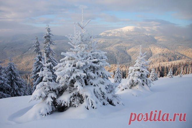 35PHOTO - Тарас - с наступающими...
