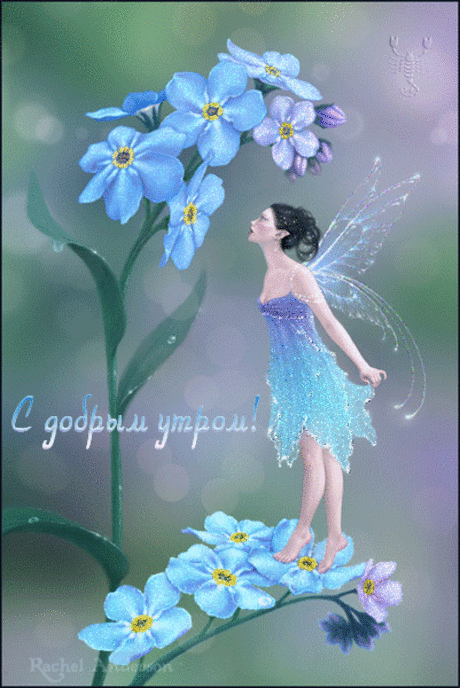С добрым утром!