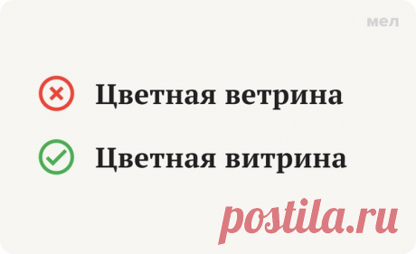 Фразой «как слышит, так и пишет» некоторые учителя характеризовали школьников, которые делают много ошибок — например, в диктанте. Но есть слова, которые пишутся именно по такому принципу.

 Правильно: Цветная витрина

«Ветриной», через «е», можно было бы назвать разве что очень сильный ветер. Но орфографические словари такого слова не знают, зато предлагают для определения сильного ветра другие варианты: «ветрюга» и «ветрище».

У нас же с вами речь идёт о витринах, которы...