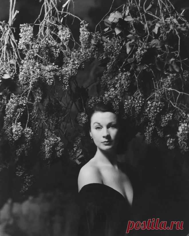 Редкий кадр из знаменитой фотосессии Сесиля Битона, 1946 год