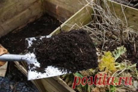 Как ускорить созревание компоста