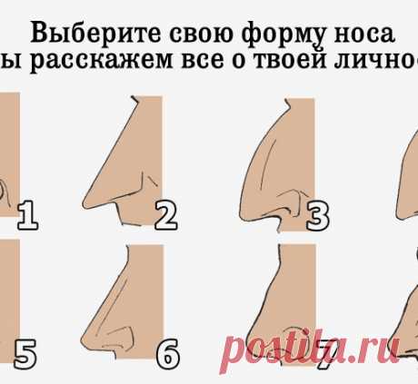 ВЫБЕРИТЕ СВОЮ ФОРМУ НОСА И МЫ РАССКАЖЕМ ВСЕ О ТВОЕЙ ЛИЧНОСТИ!