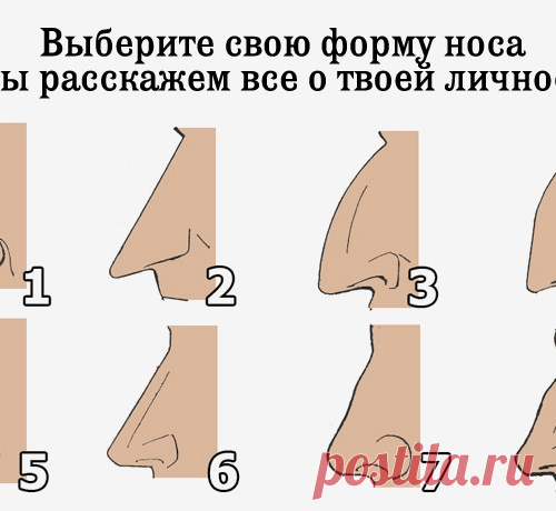 ВЫБЕРИТЕ СВОЮ ФОРМУ НОСА И МЫ РАССКАЖЕМ ВСЕ О ТВОЕЙ ЛИЧНОСТИ!