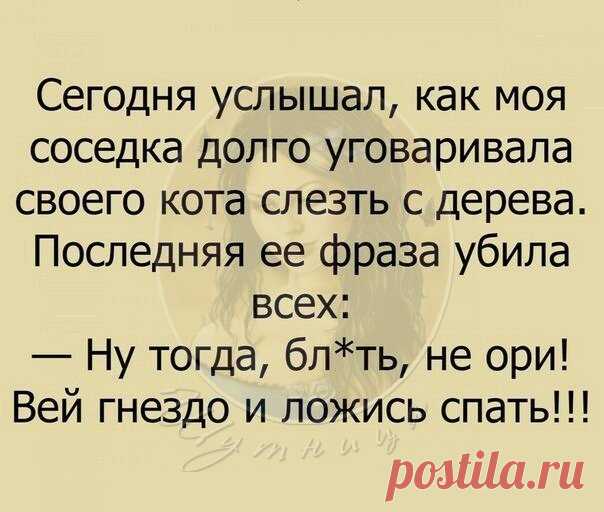 Шутница (анекдоты)