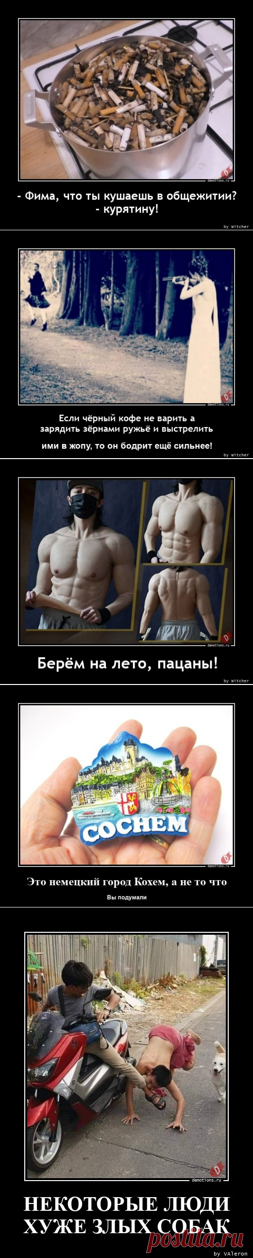 Демотиваторы-265