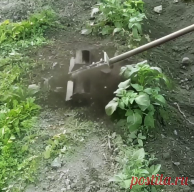 Окучиваем картошку триммером