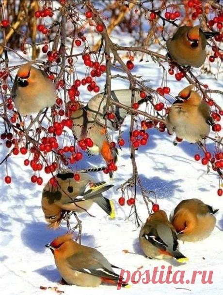 (5) Facebook