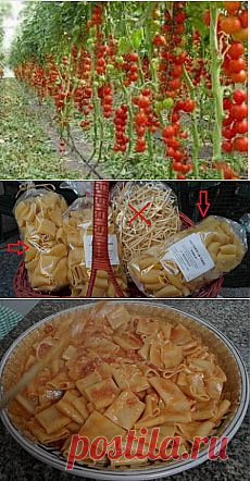 Рецепт. =Паста Соррентана=. Готовим макароны по-итальянски!.