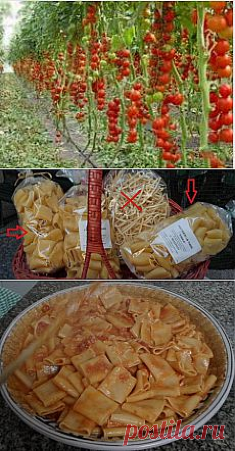 Рецепт. =Паста Соррентана=. Готовим макароны по-итальянски!.