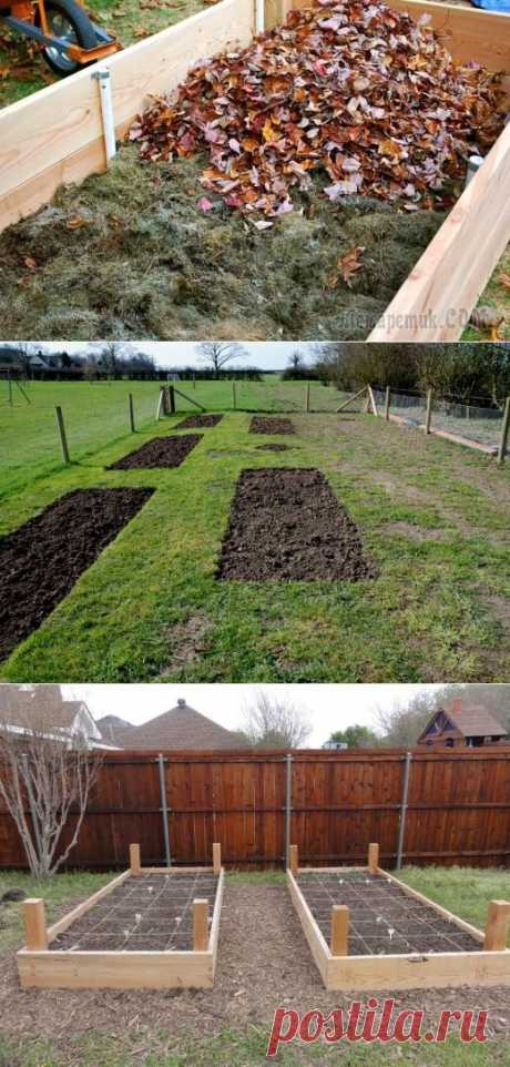 Осень: время позаботиться о хорошем урожае