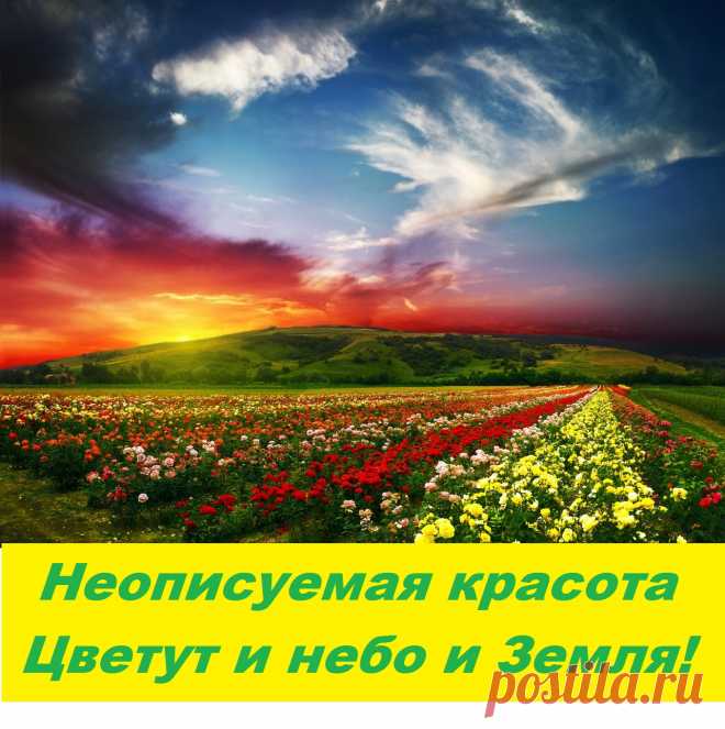 "
