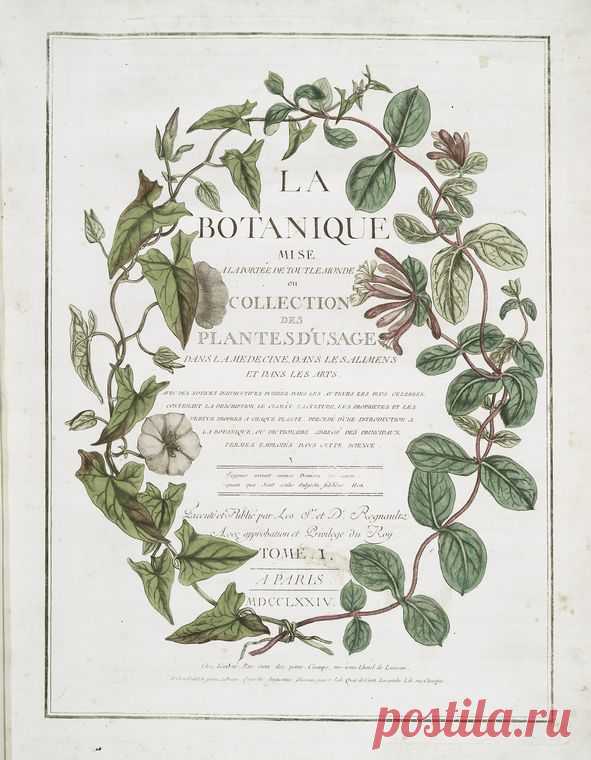 La botanique mise à la porteé de tout le monde ... [Tome I. Title page]. - NYPL Digital Collections