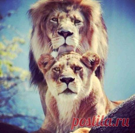 Интересные новости